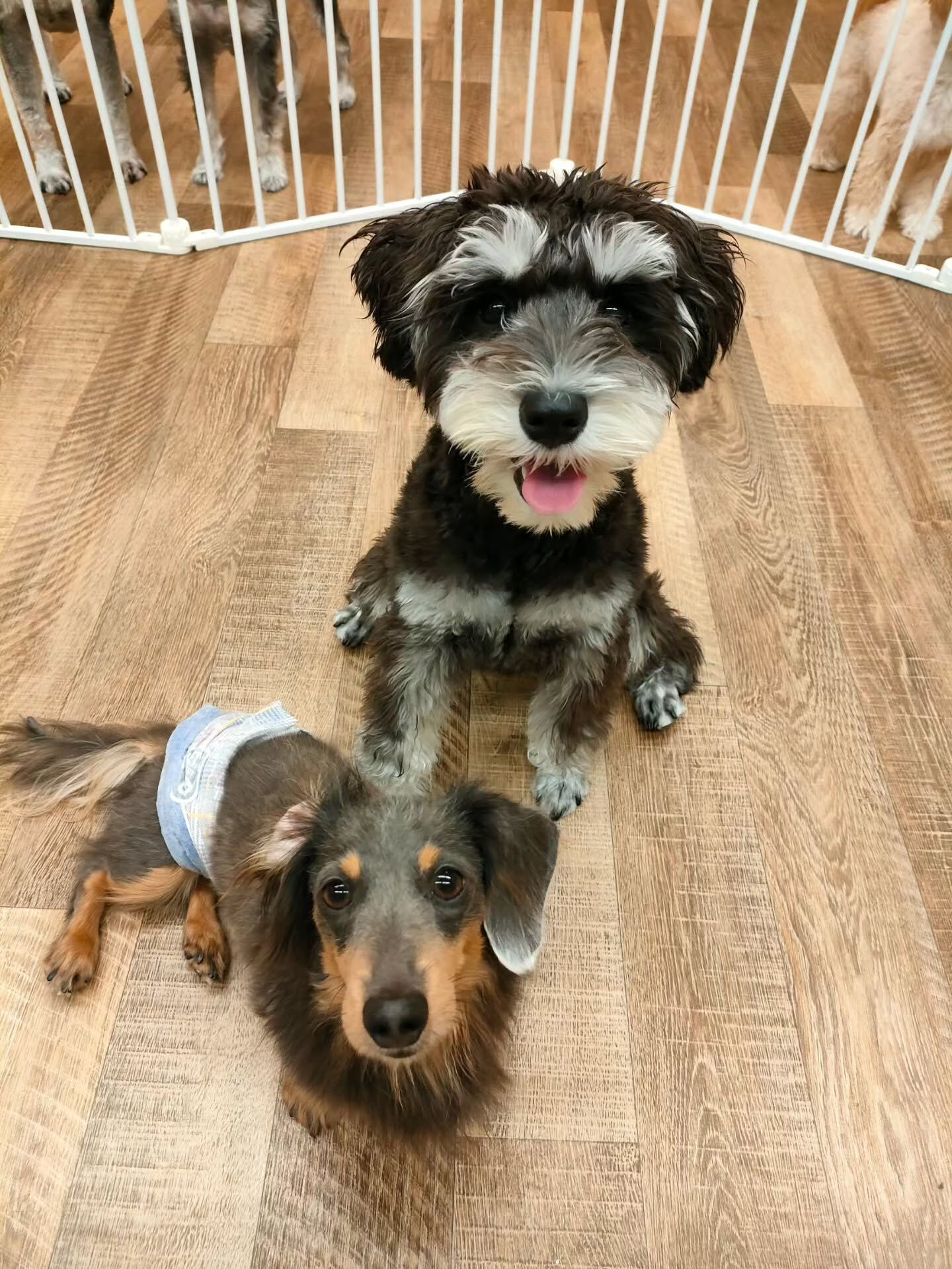 本日の様子です🐶💕