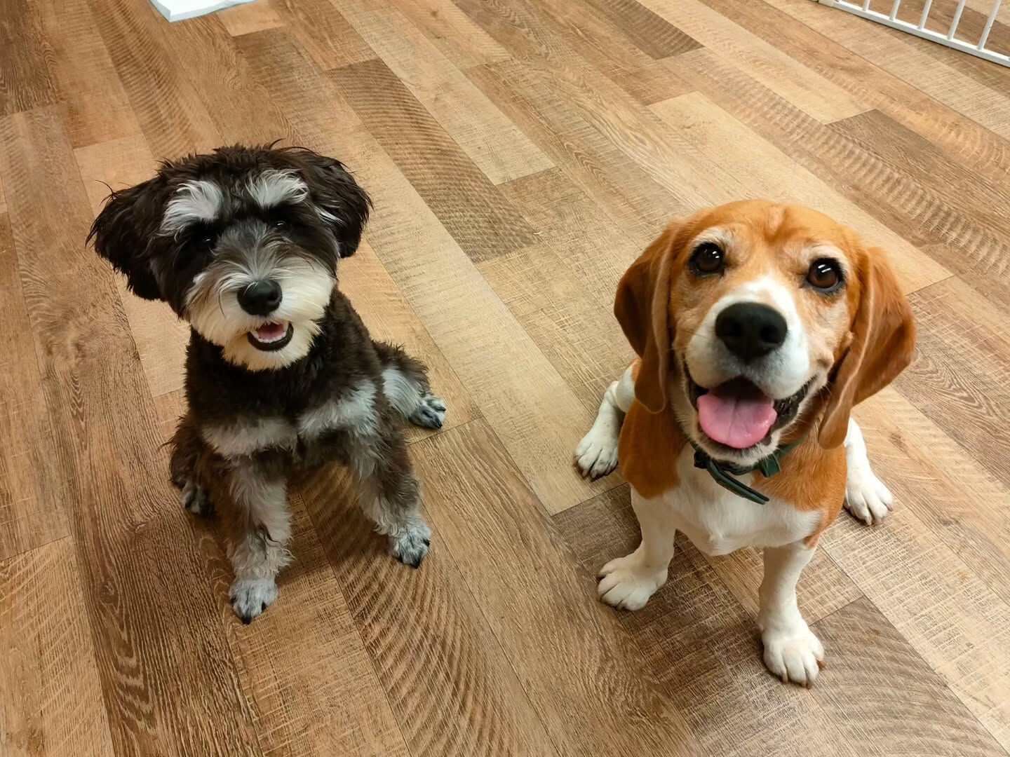 本日の様子です🐶💕