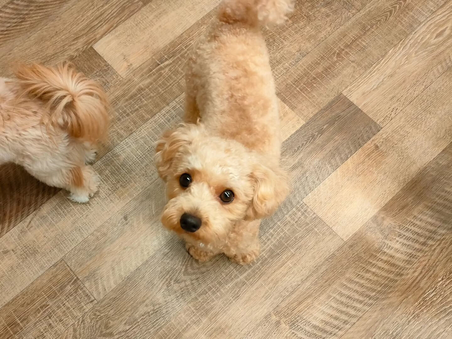 本日の様子です🐶💕