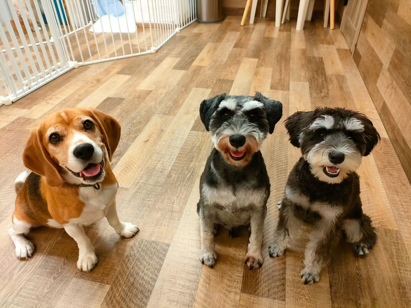 本日の様子です🐶💕