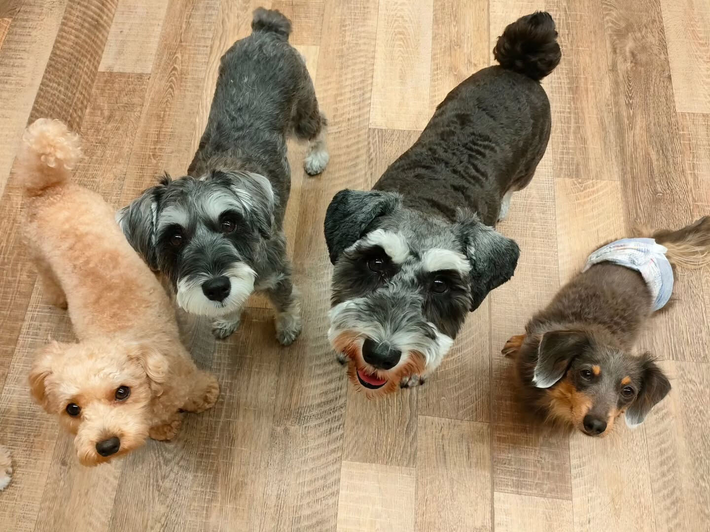 本日の様子です🐶💕