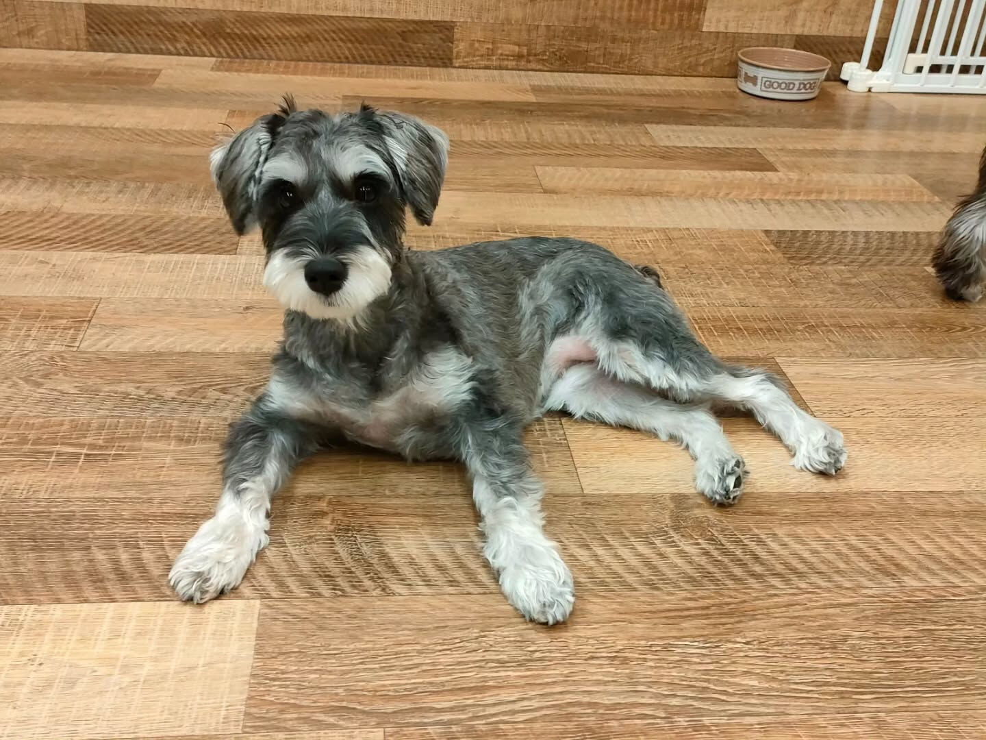 本日の様子です🐶💕