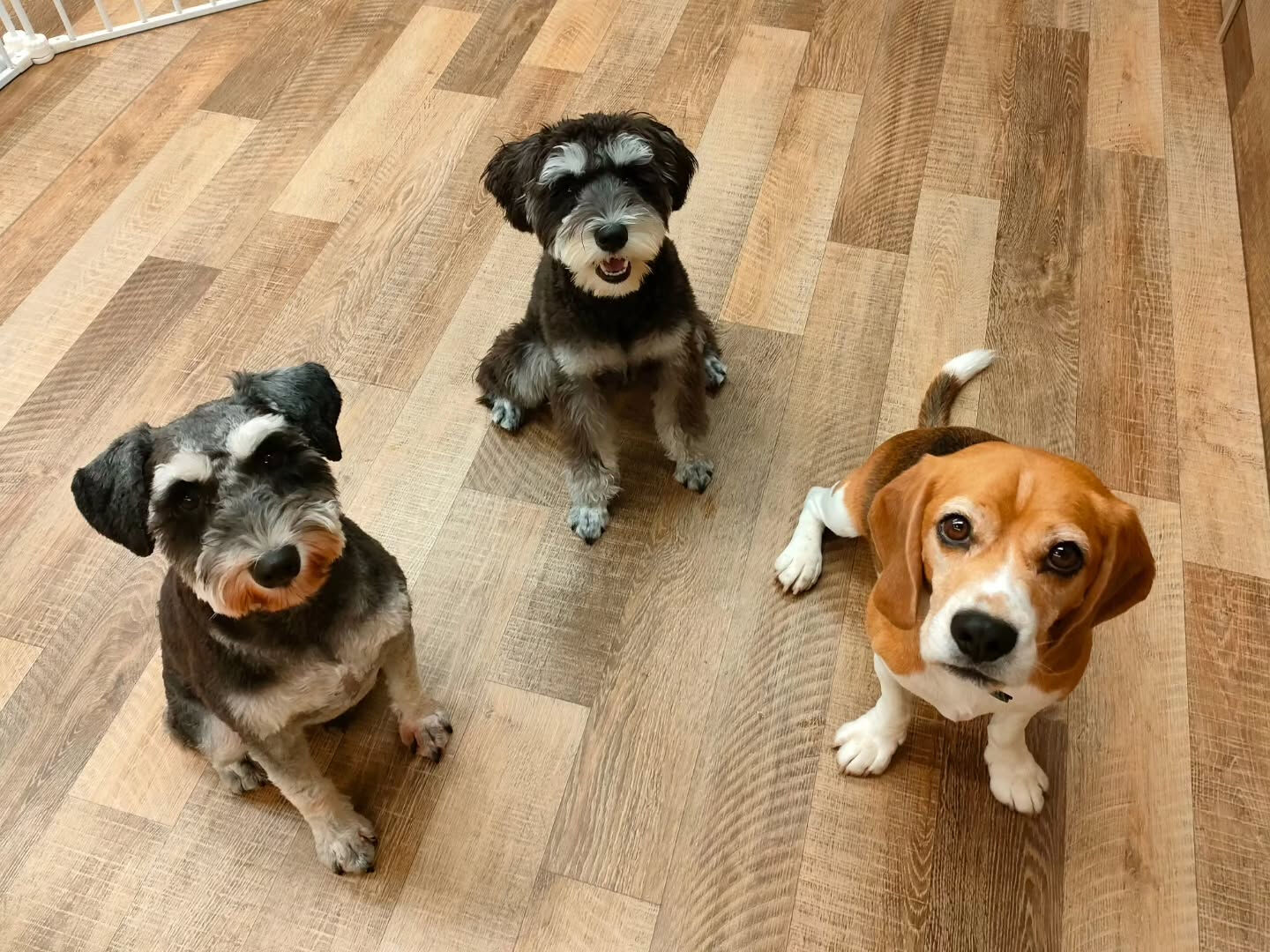 本日の様子です🐶💕