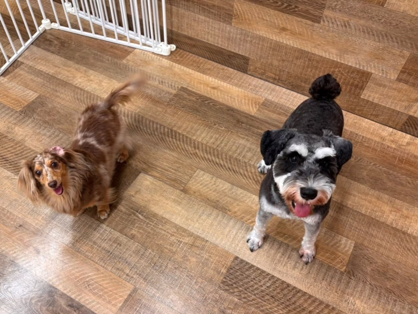 本日の様子です🐶💕