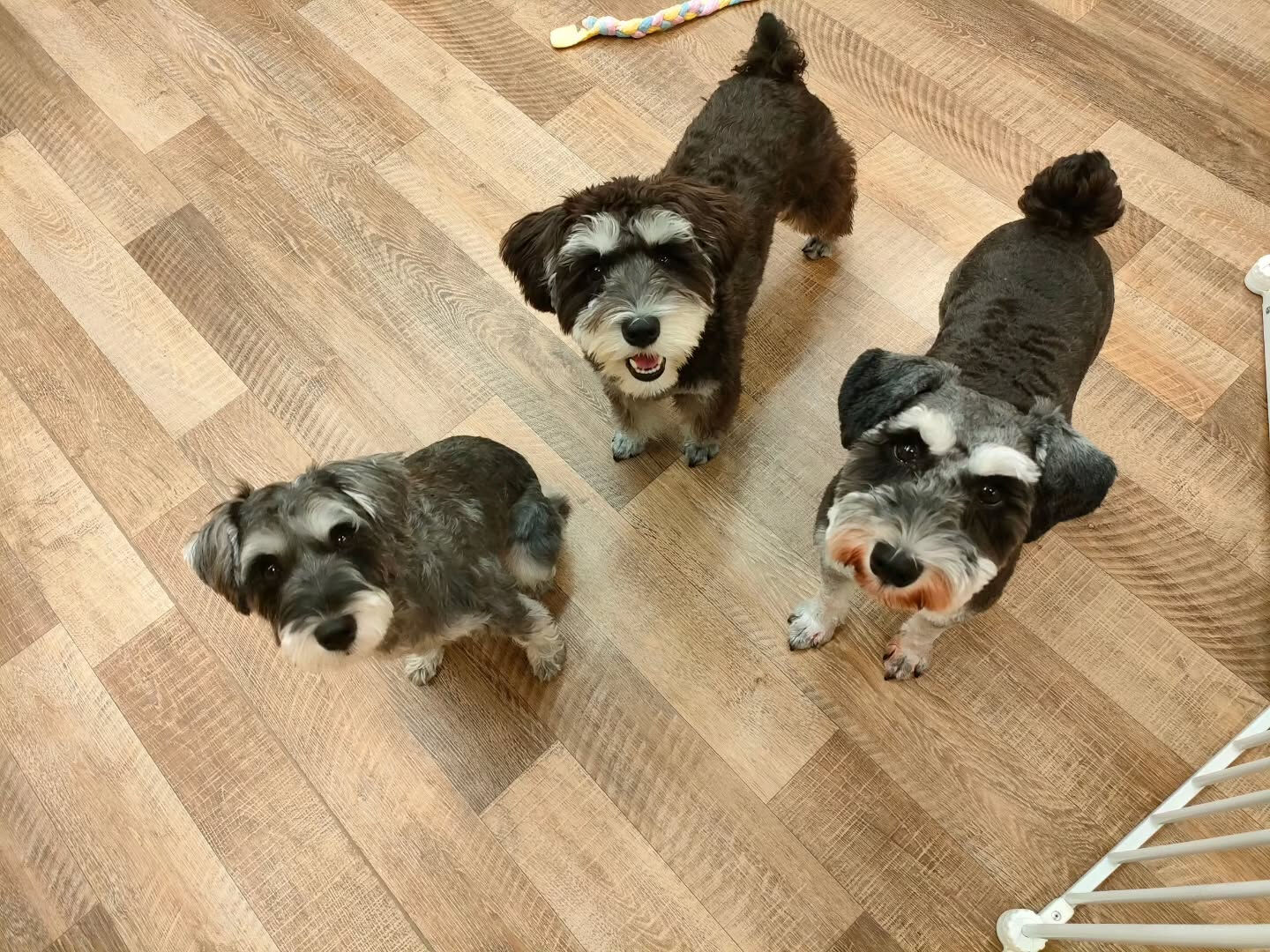 本日の様子です🐶💕