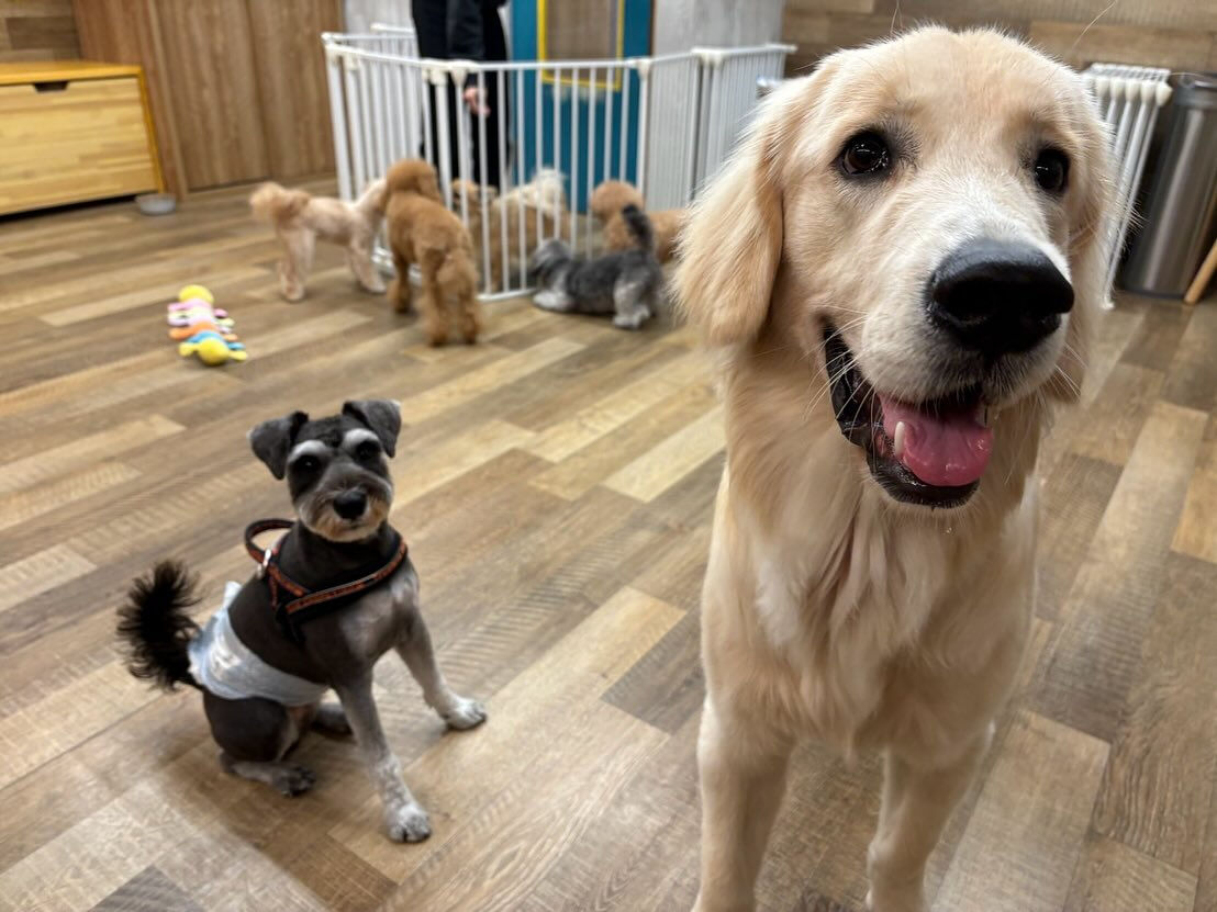 本日の様子です🐶💕