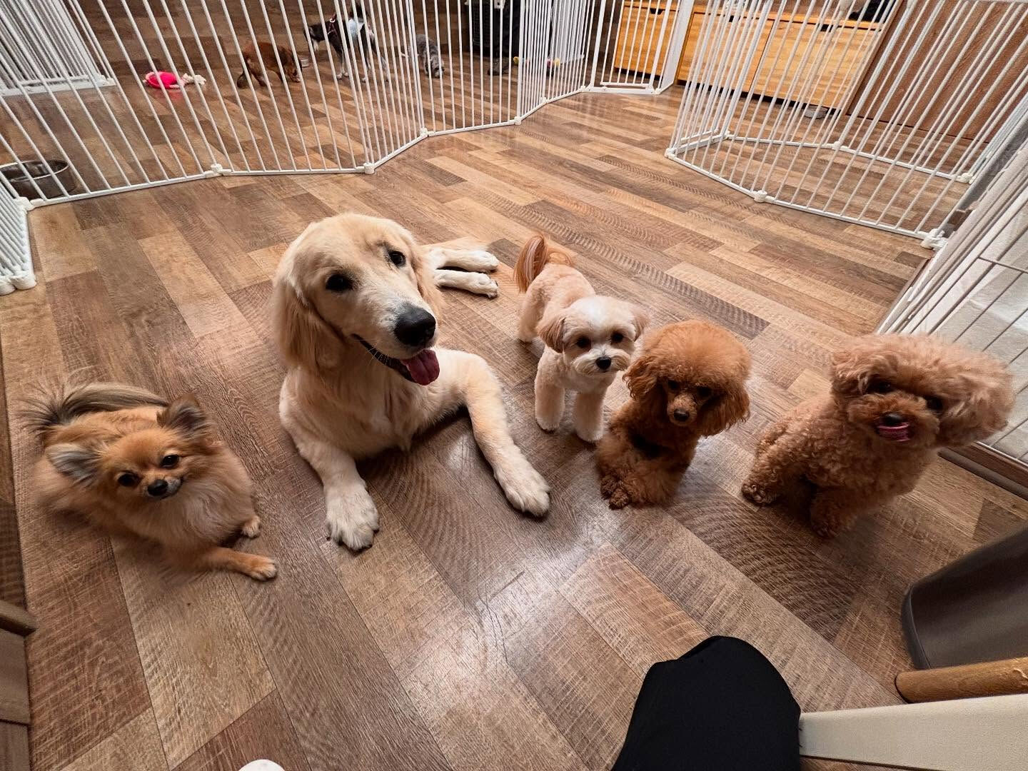 本日の様子です🐶💕