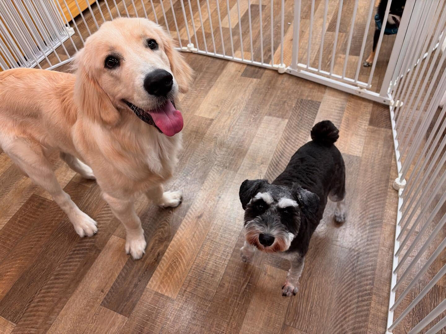 本日の様子です🐶💕