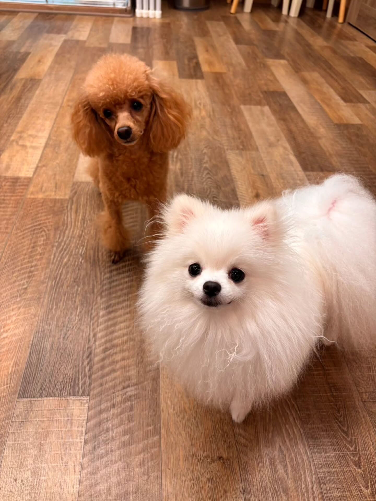 本日の様子です🐶💕