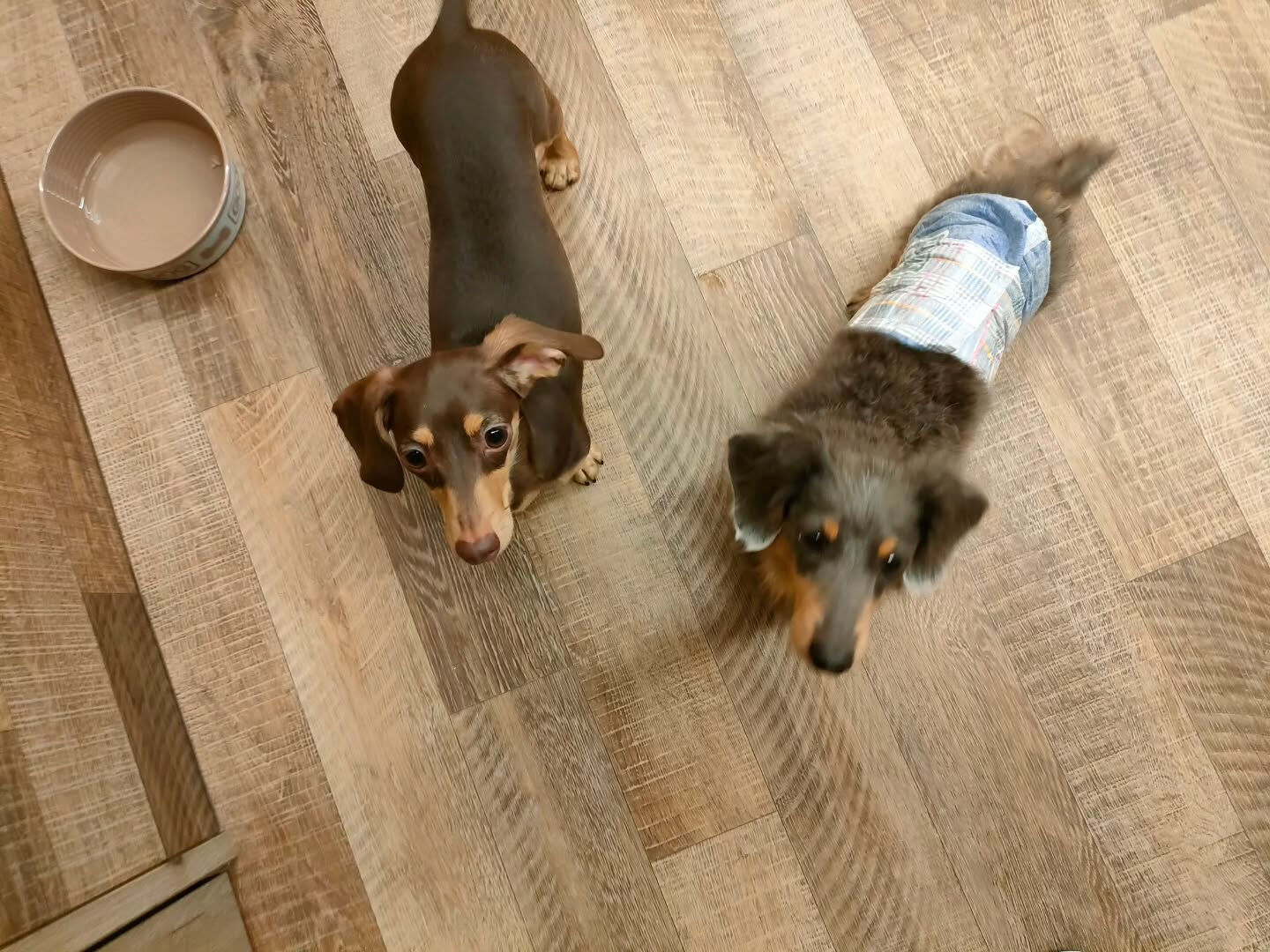 本日の様子です🐶💕