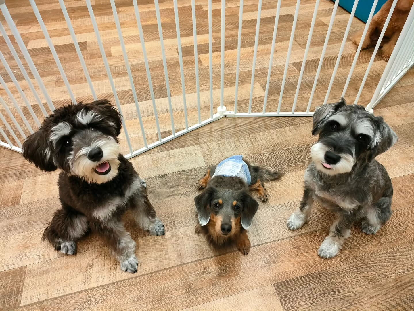 本日の様子です🐶💕