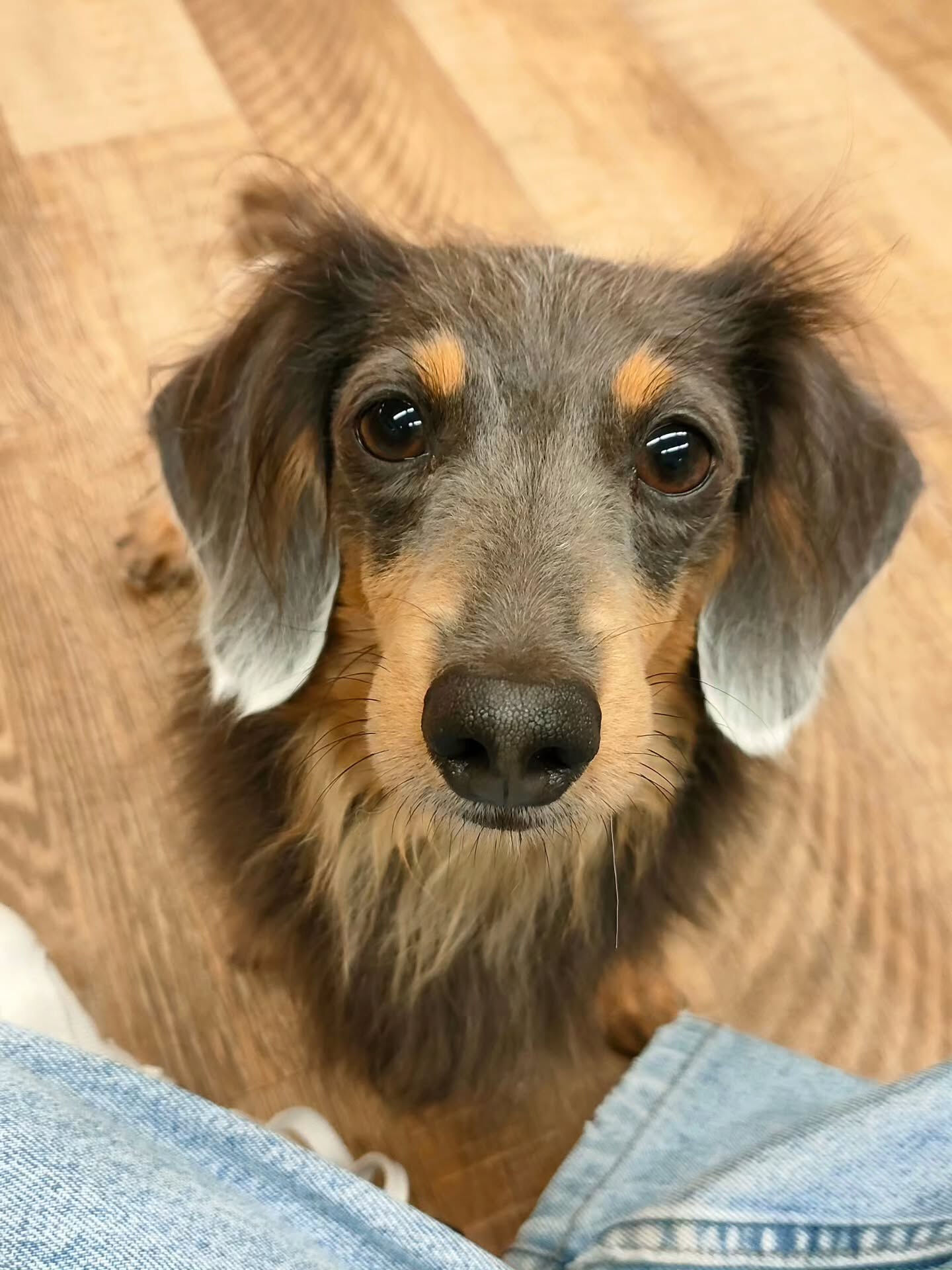 本日の様子です🐶💕