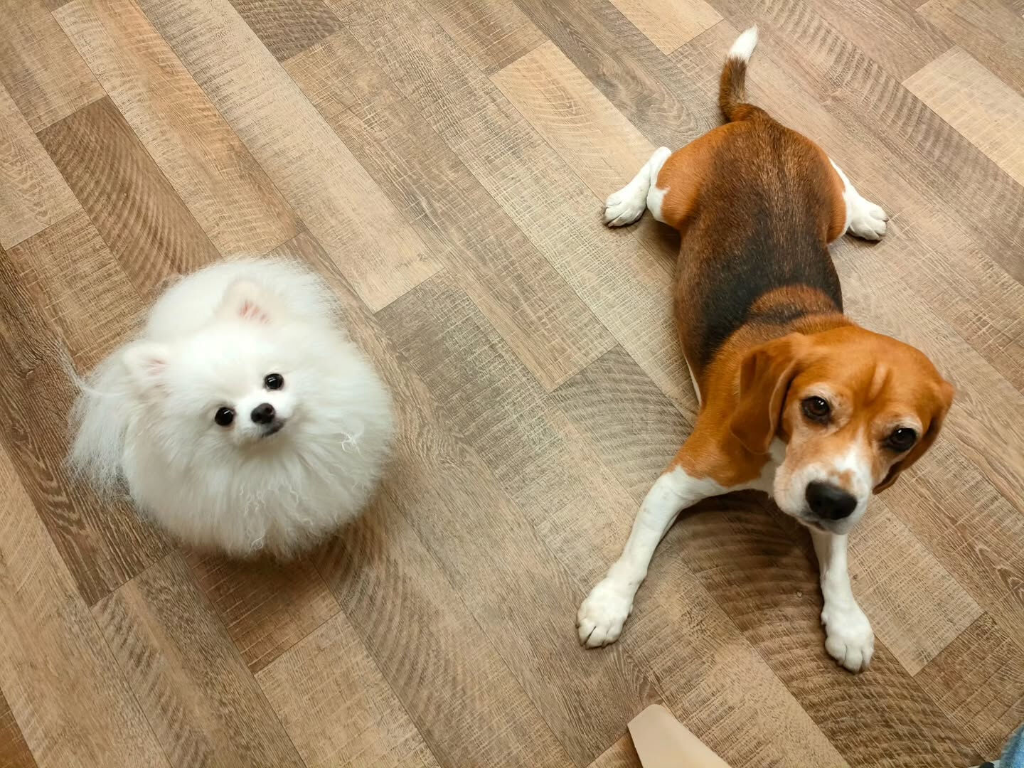 本日の様子です🐶💕