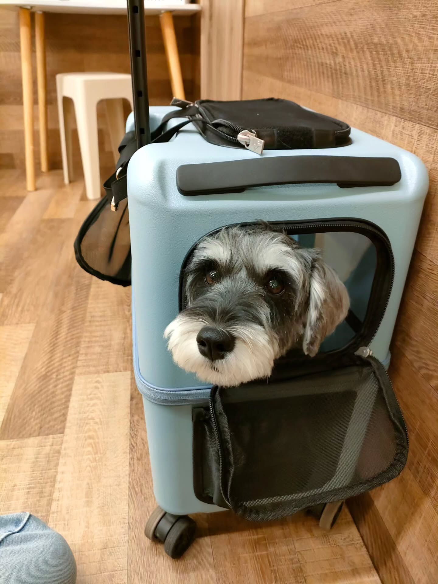 本日の様子です🐶💕